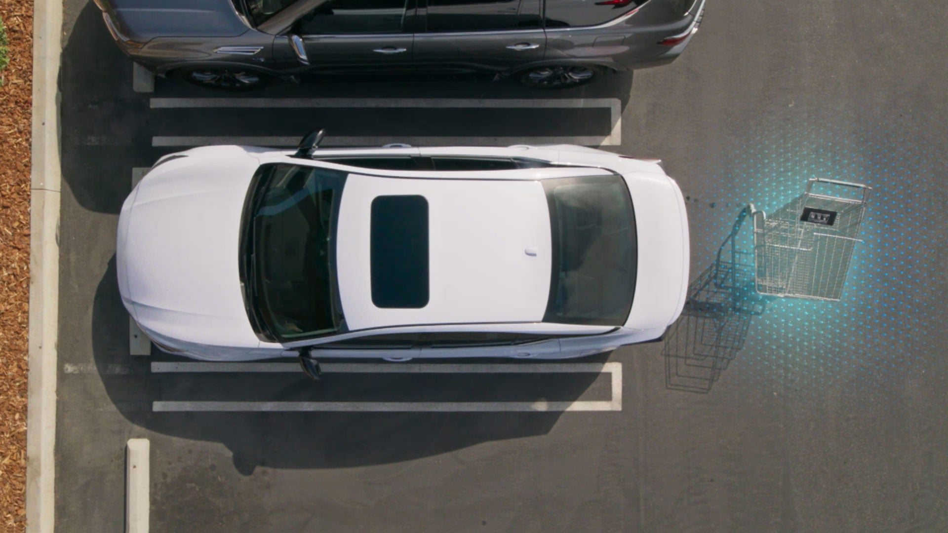 2026 Nissan Altima | Reed Nissan Orlando in Orlando, FL