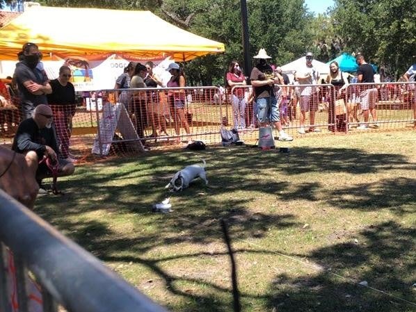 reed nissan sponsors lure event 2